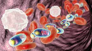 Scoperta la Tattica Furtiva delle Cellule Tumorali: Come le Cellule Tumorali Eludono il Sistema Immunitario Fin dalle Prime Fasi - 1
